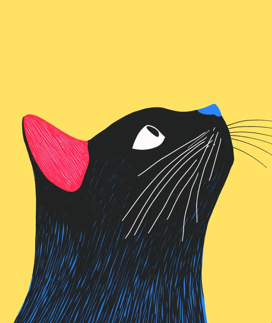 Collab project CMS Platform Connected with Basecamp editor, built with Ruby on Rails 